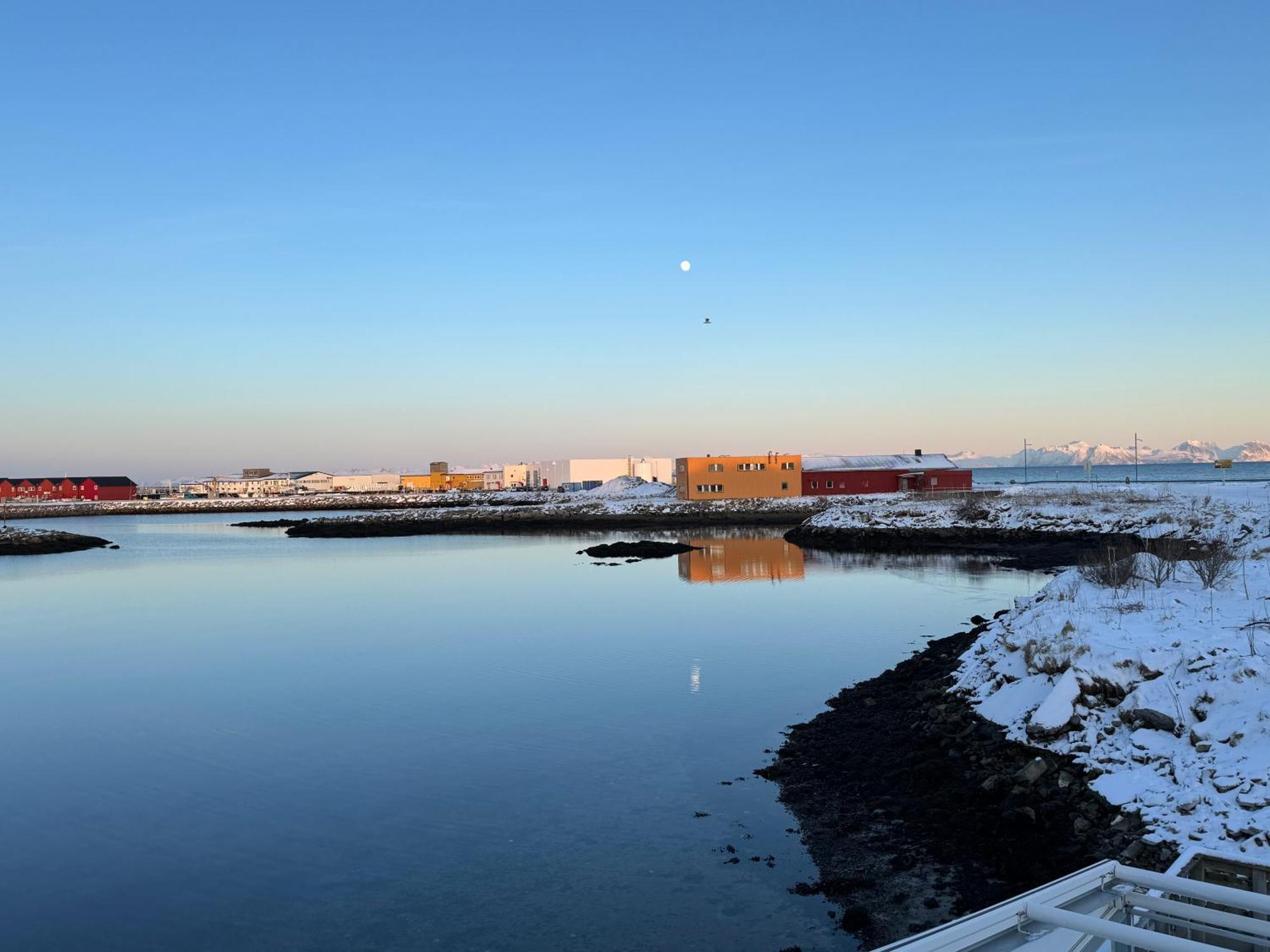 Gronnbuene Rorbu Hotel Andenes Bagian luar foto